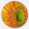 Designart - Yellow Daisy Gerbera Flower Close up' Disc Flowers Large Metal Circle Wall Artwork